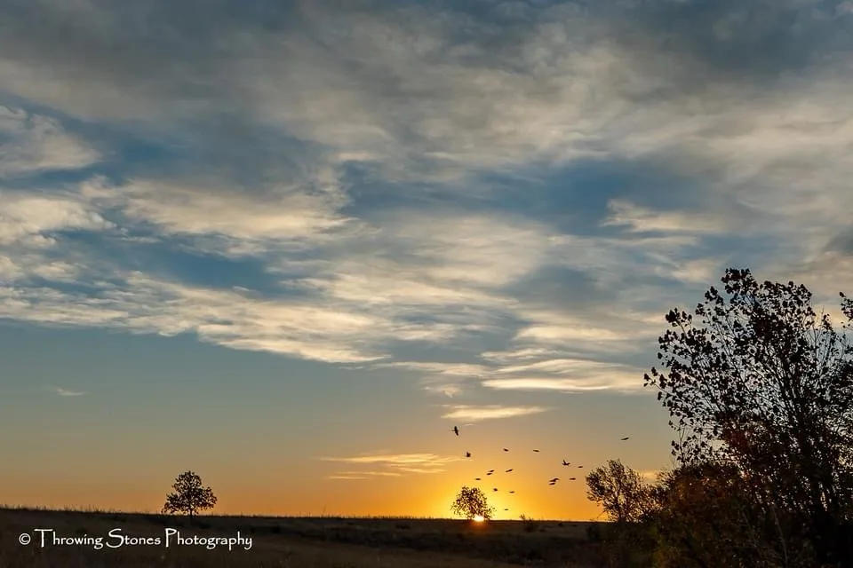 A serene sunset photograph shows a wide open field with scattered trees silhouetted against a sky painted with orange…