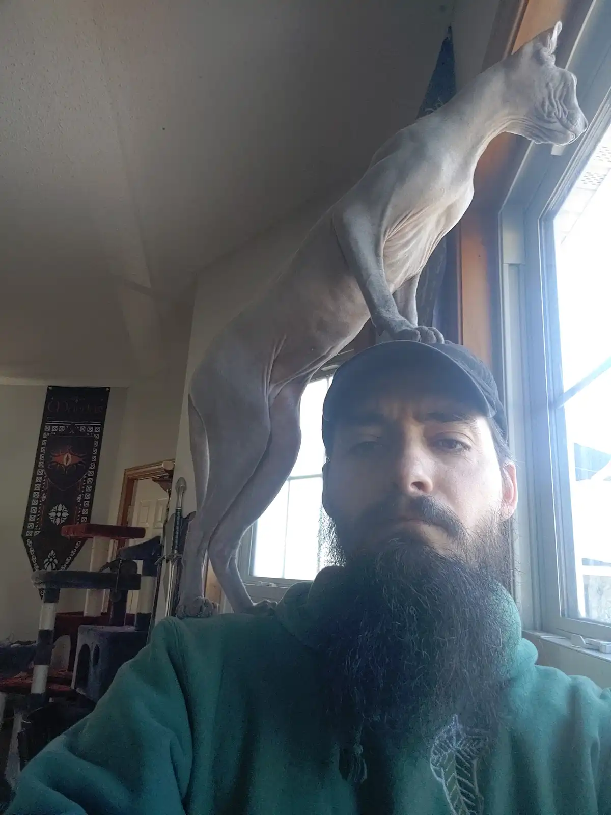 A man with a long beard and cap takes a selfie, looking directly at the camera with a neutral expression. Perched atop his…
