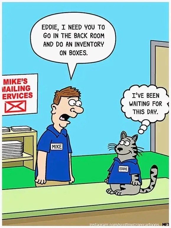 A cartoon depicts a man named Mike in a blue shirt with a name tag, speaking to a cat named Eddie who also wears a blue…