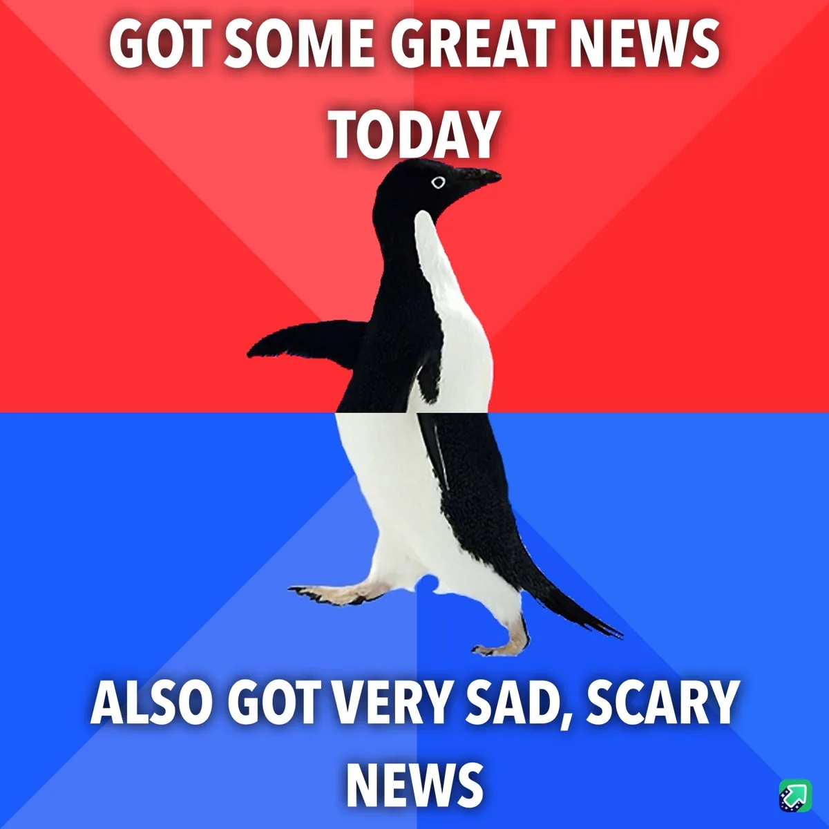 A penguin stands centered against a red and blue background, with white text at the top reading 'GOT SOME GREAT NEWS TODAY'…