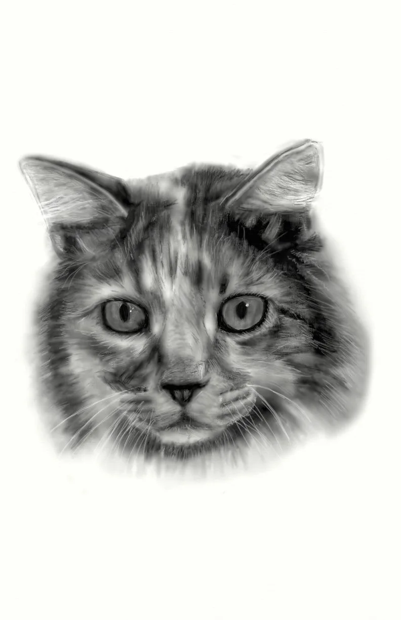 A black and white sketch of a cat's face with a serious, weary expression. The text overlaid on the image reads 'i'm not a…
