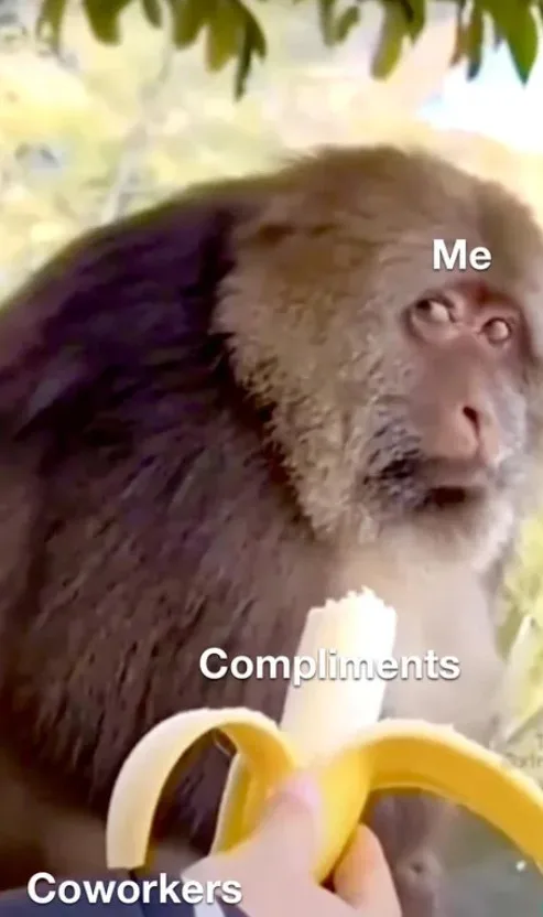 A close-up image of a monkey with a surprised or startled expression, looking directly at the camera. A human hand is…