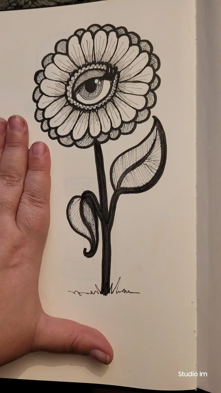A hand holds a sketchbook displaying a detailed black-and-white drawing of a flower with an eye in its center. The flower…