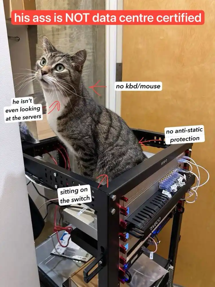A tabby cat sits atop a server rack with network cables and blinking lights, surrounded by text labels mocking its 'data…