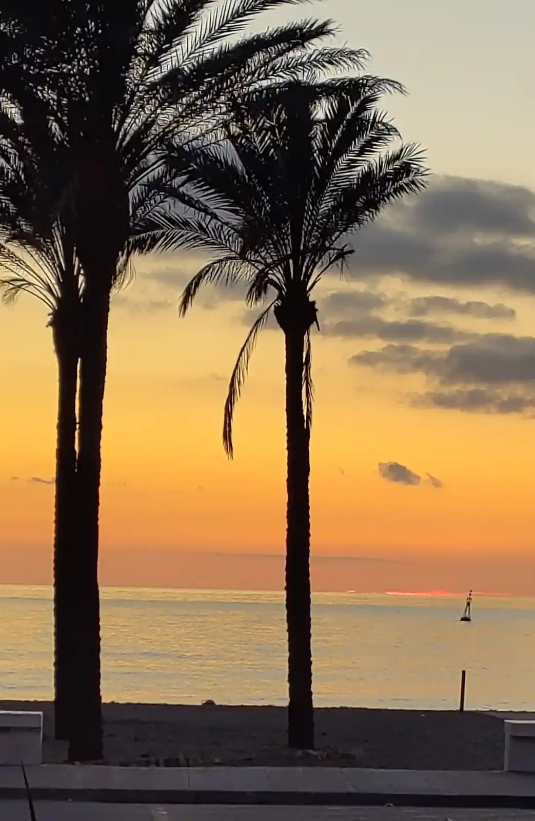 A serene sunset photo featuring two tall palm trees silhouetted against a vibrant orange and yellow sky over the ocean. A…
