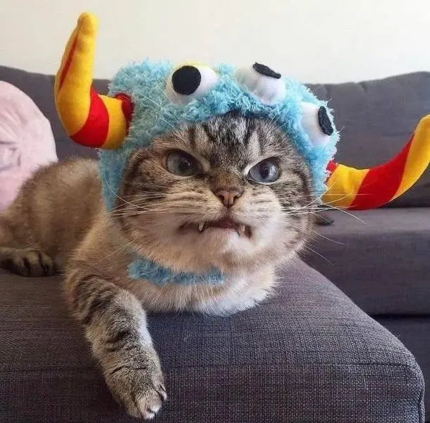 A tabby cat wearing a blue, fuzzy monster costume with large googly eyes and red-and-yellow horns, lying on a gray couch…