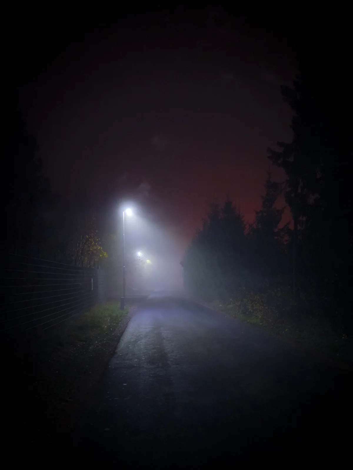 A dark, foggy night scene showing a narrow road lit by a single streetlamp, with trees and a fence on either side and a…