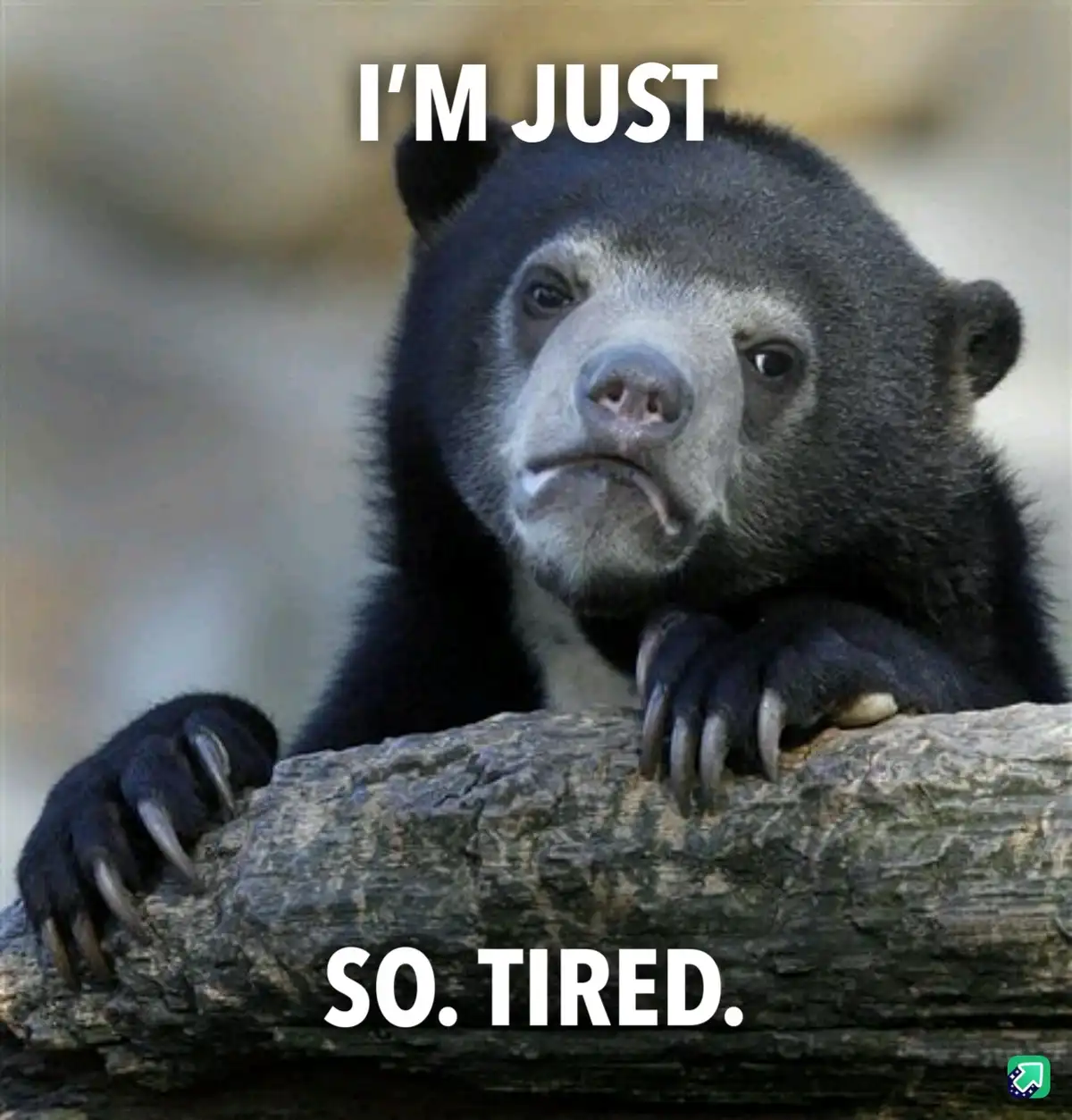 Desperately craving some sleep right now!