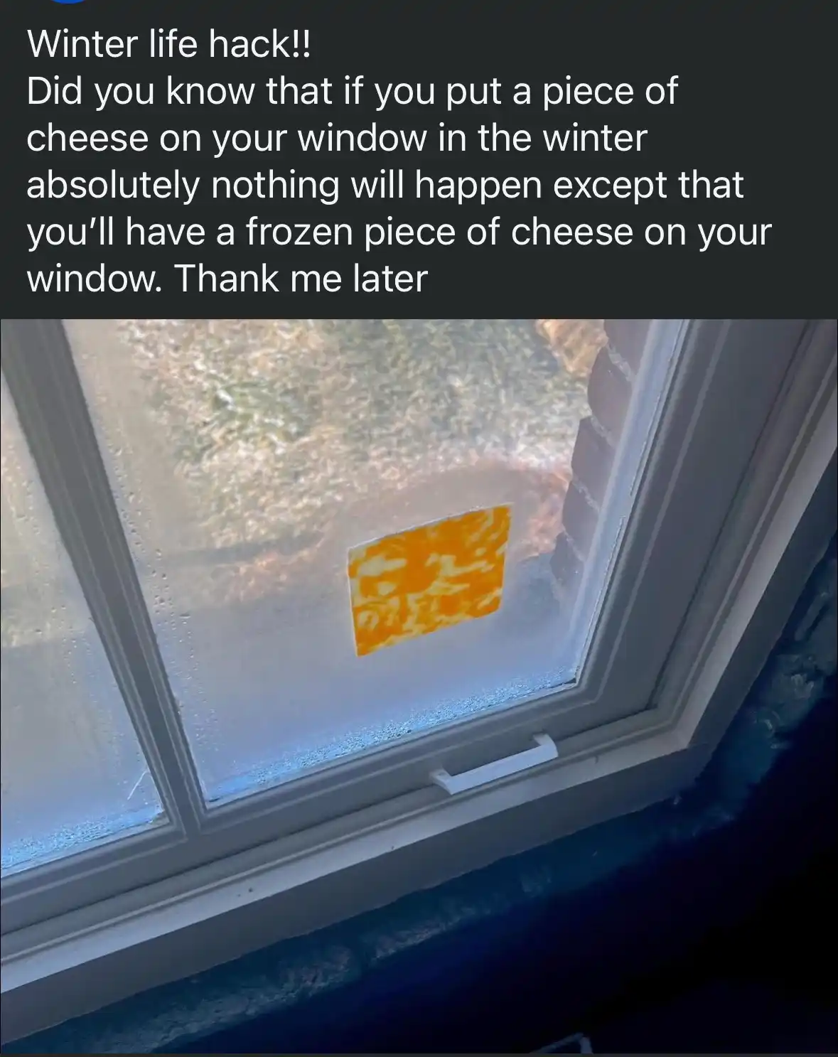 A close-up photo shows a rectangular piece of orange cheese stuck to the inside of a glass window pane, which has…