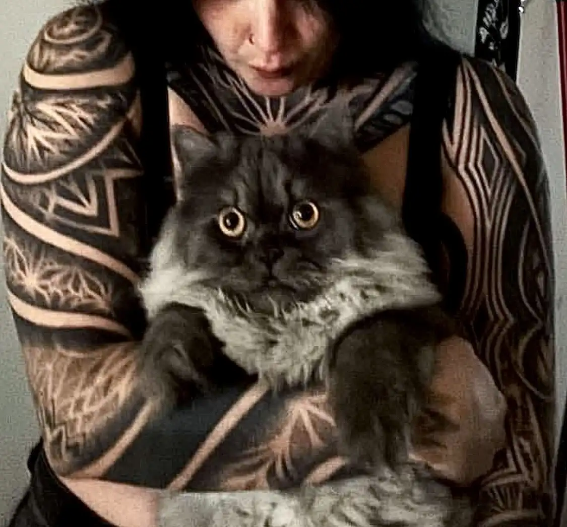 A person with extensive black and beige tribal-style tattoos on both arms and neck is holding a fluffy gray cat. The cat has…