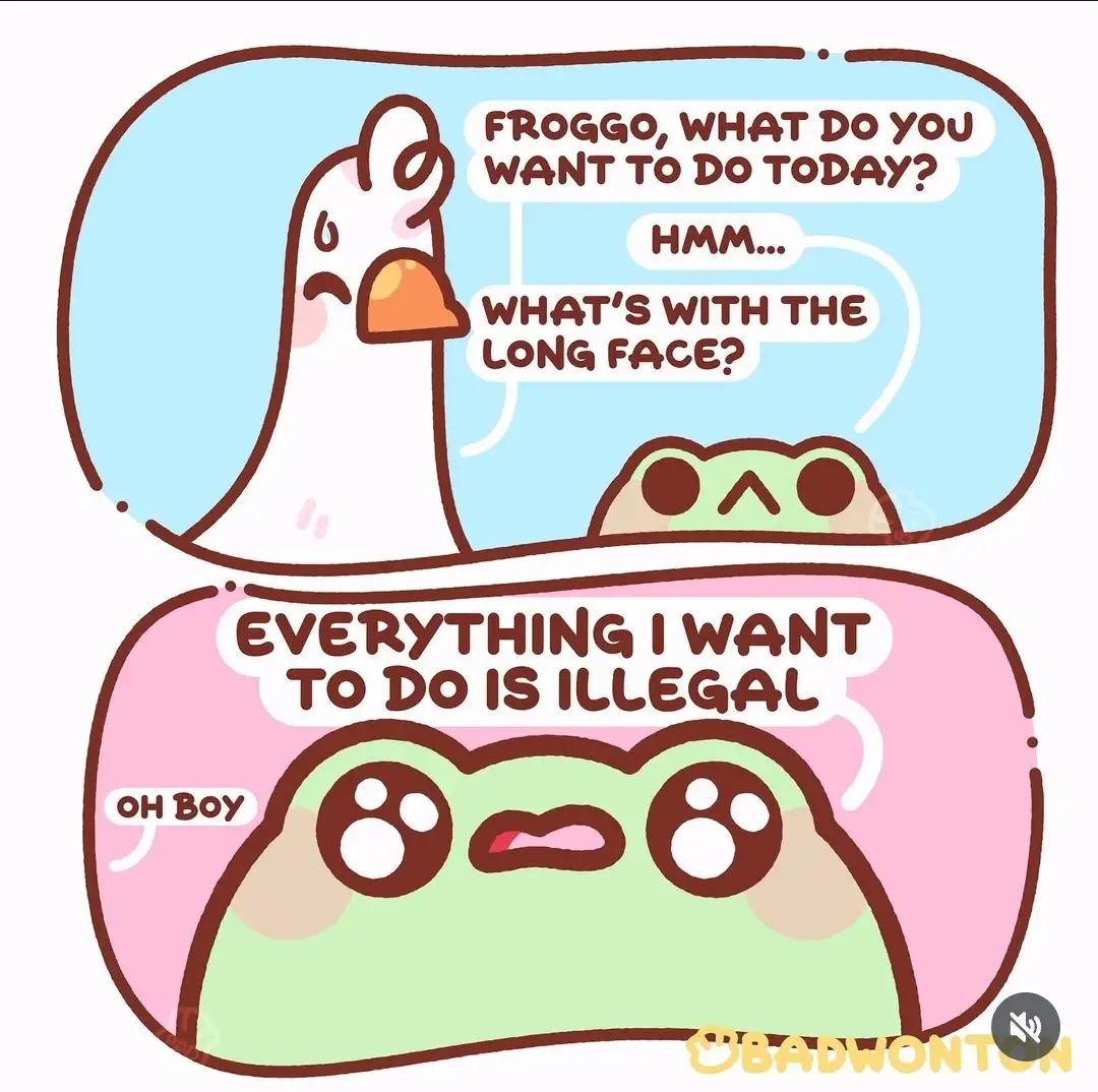 A two-panel comic featuring a white duck and a green frog. In the top panel, the duck asks the frog what it wants to do…