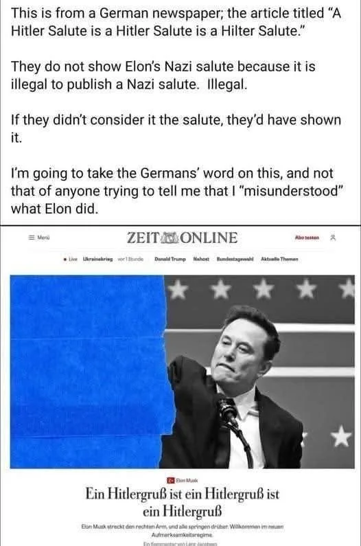 A screenshot of a German news article from Zeit Online shows Elon Musk raising his right arm in a salute. The article's…