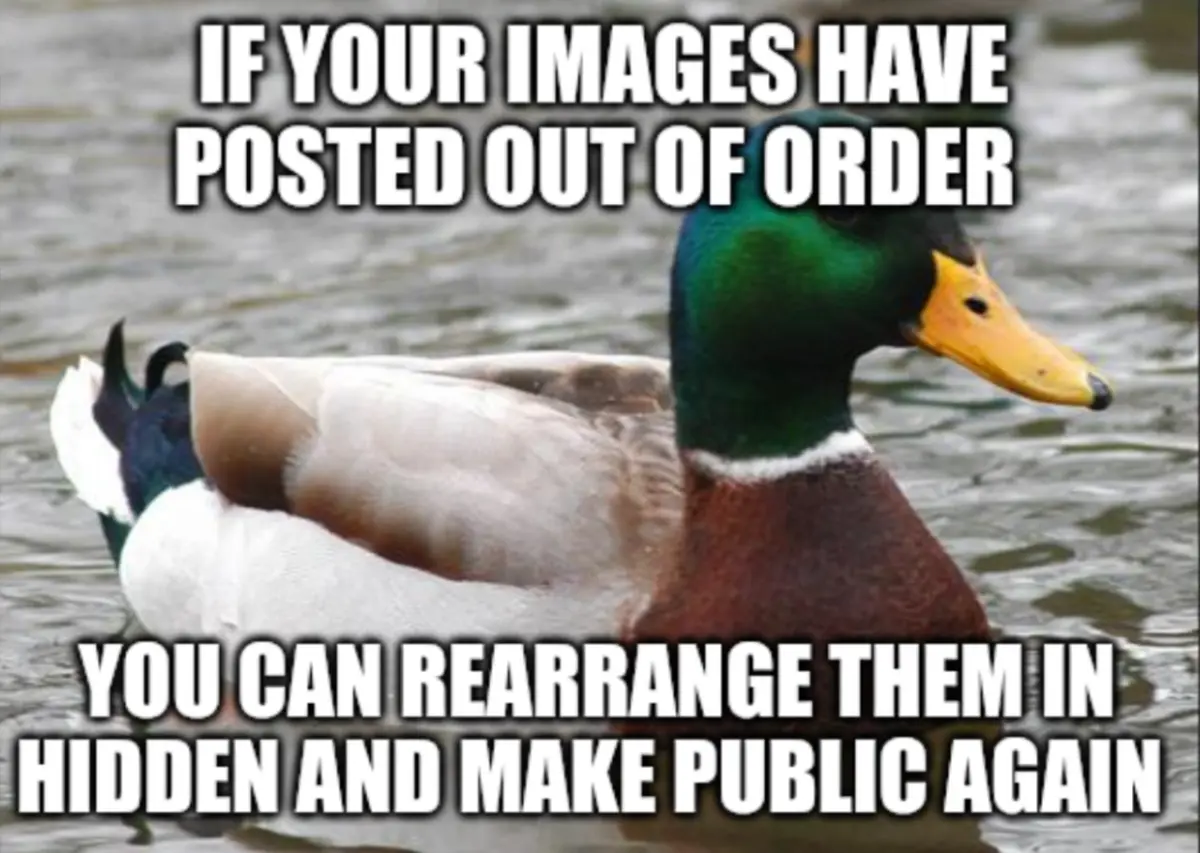 A mallard duck with a green head and yellow beak floats calmly on water, looking slightly to the right. White bold text is…