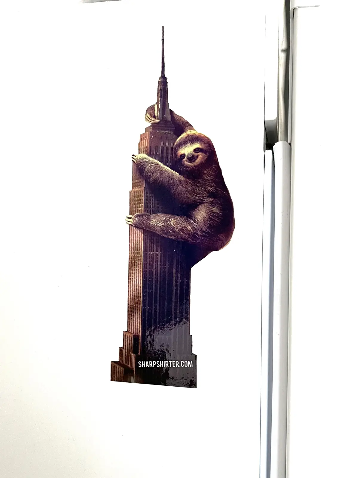 A refrigerator magnet depicts a sloth clinging to the Empire State Building, with the website 'SHARPShirter.com' printed at…