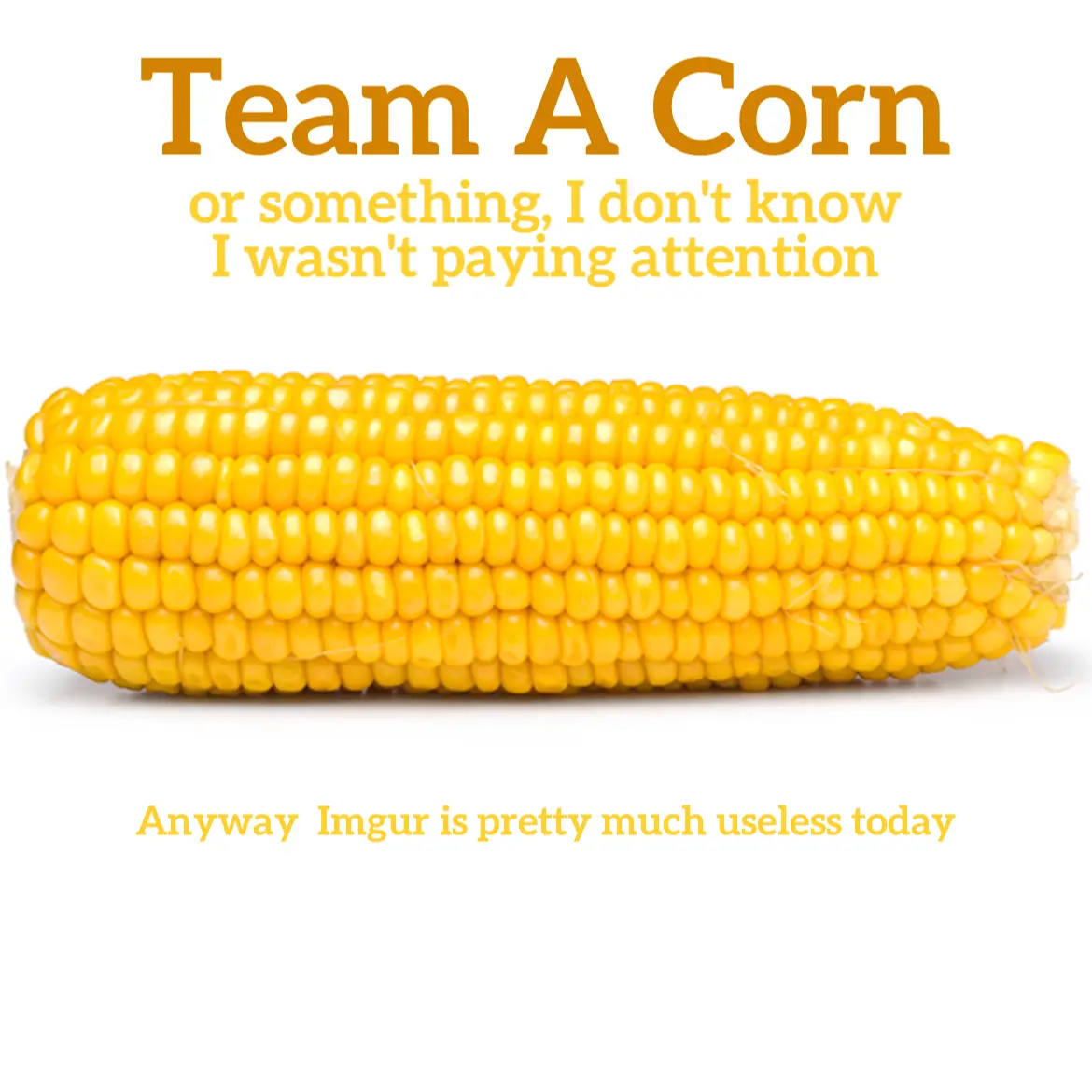 A plain image of a single, bright yellow ear of corn on a white background. Overlaid text in orange reads 'Team A Corn or…