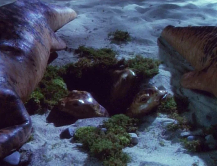 A still from a sci-fi movie shows two large, reptilian alien creatures lying on a sandy, mossy surface, with two smaller…