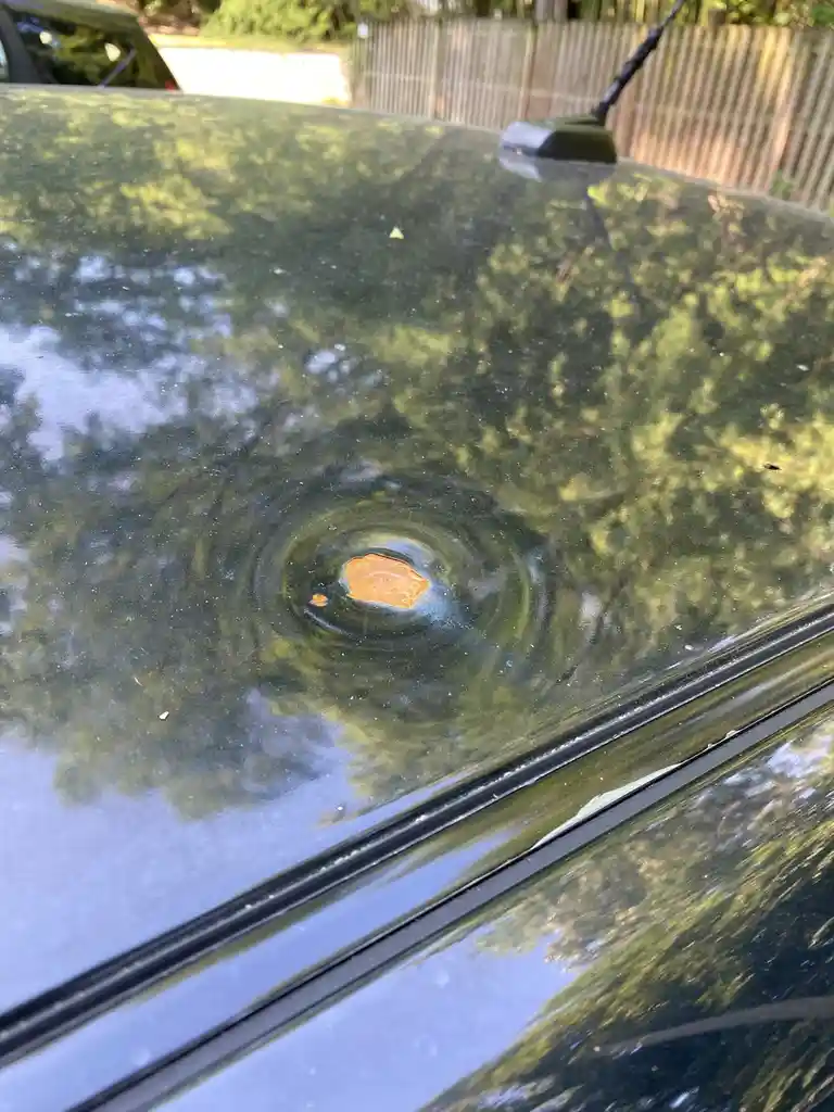 After my car was hit in 2020, my mom discovered this in 2021