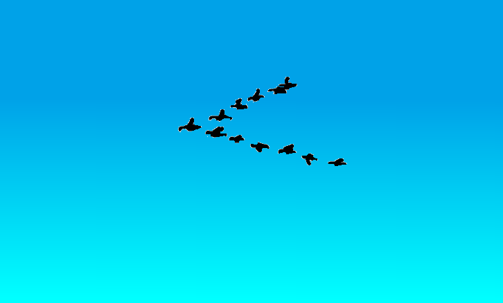 A flock of black birds flies in a V-formation against a gradient blue sky. Overlaid text reads 'i'm not a bird, i'm a bird'.