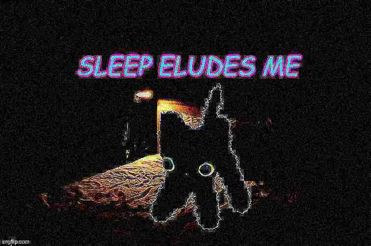 A dark, grainy image shows a blurry, glowing silhouette of a small dog or cat sitting upright on a bed with a lit lamp in…