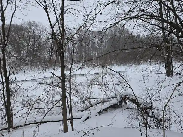 A snowy winter scene with bare trees framing a frozen river, overlaid with the text 'i'm not lazy, i'm in energy-saving…