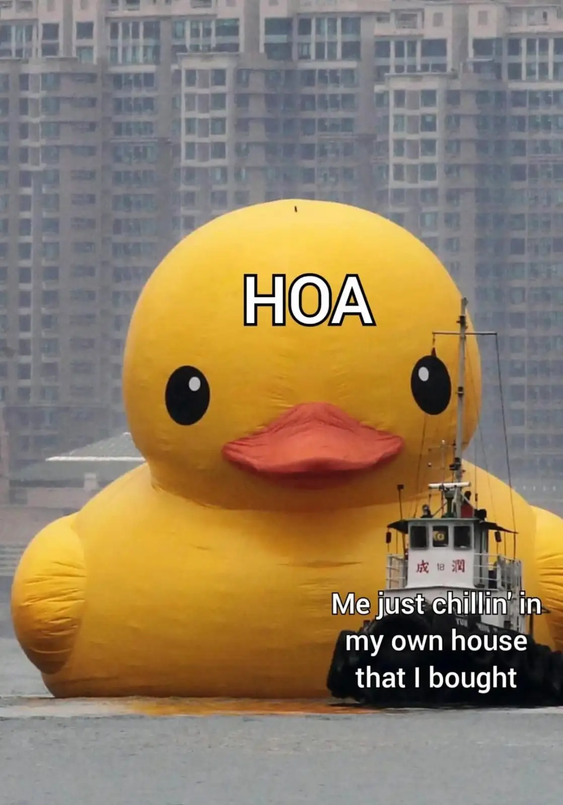 A giant yellow inflatable rubber duck floats in water with a small tugboat beside it, set against a backdrop of tall city…