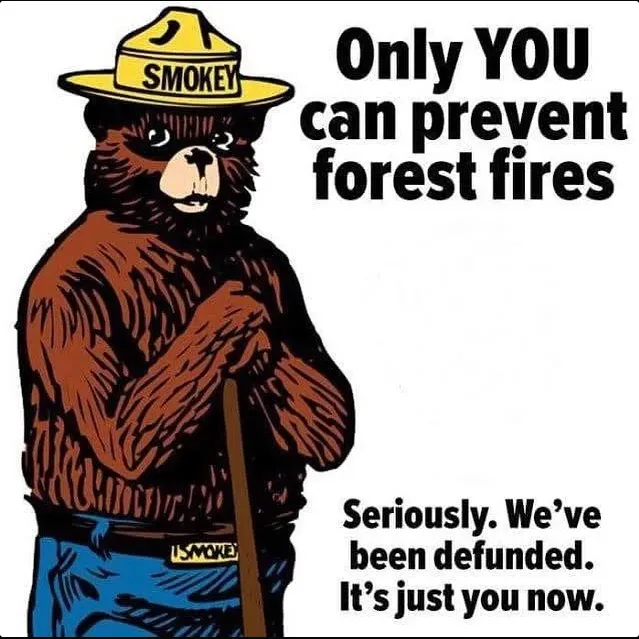 The image features Smokey Bear, a cartoon brown bear wearing a yellow ranger hat with 'SMOKEY' written on it and blue pants…