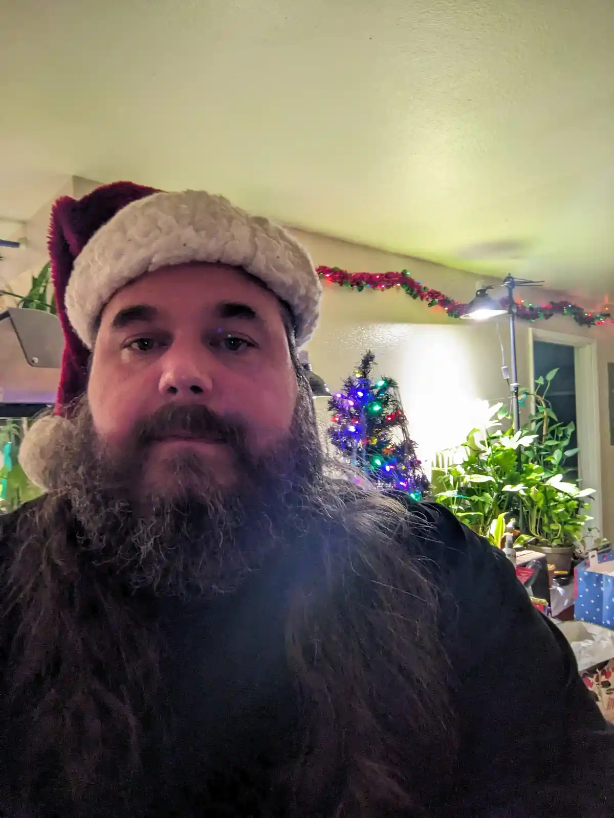A man with a long, dark beard wears a red and white Santa hat and looks directly at the camera with a neutral expression…