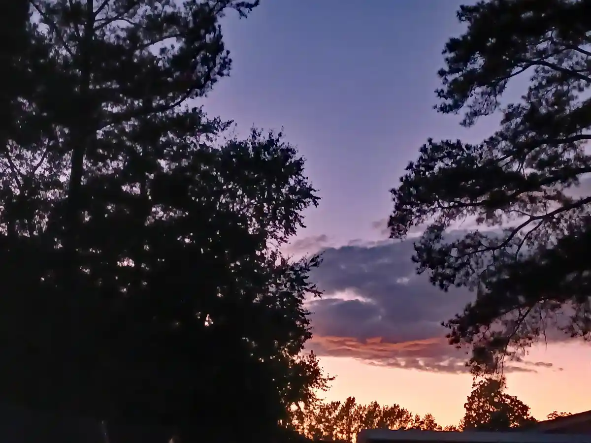 Captivating Evening Sky Moments