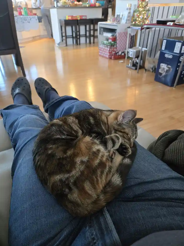 A person wearing blue jeans and black Crocs is lounging on a couch with their legs stretched out, while a tabby cat sleeps…