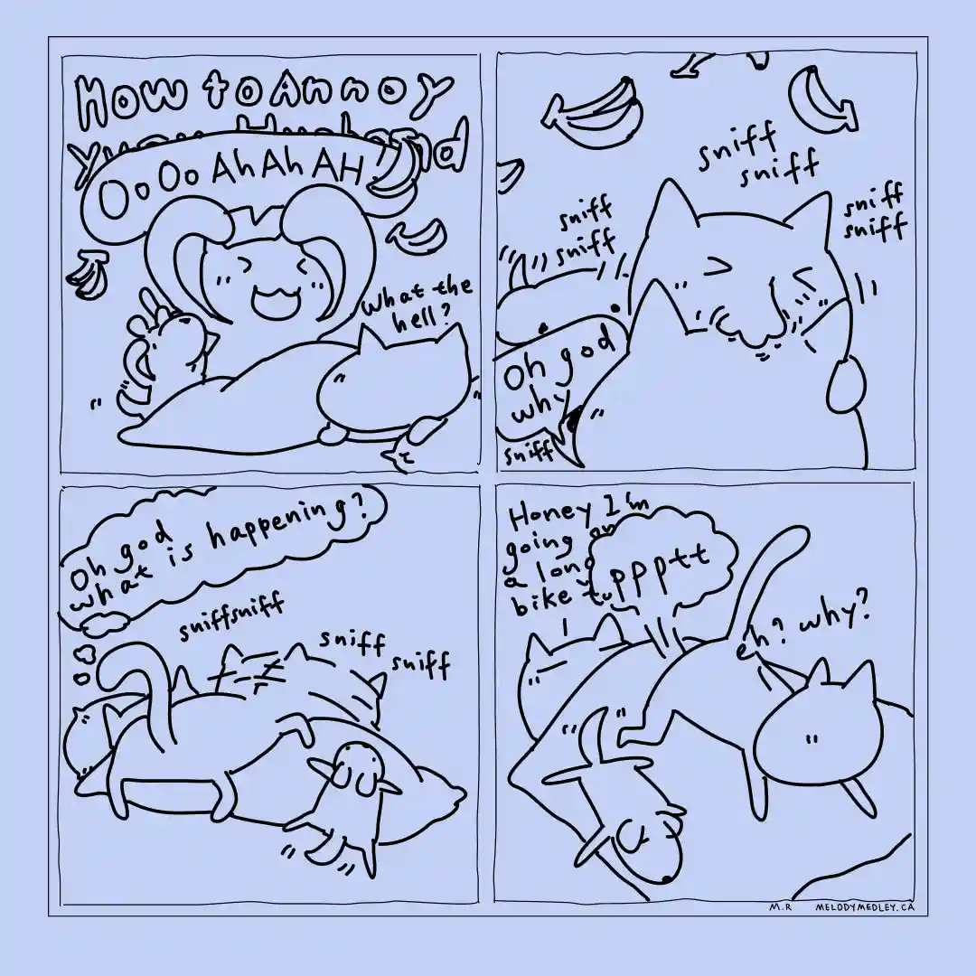 A four-panel comic strip shows a woman laughing while holding a banana, then a cat sniffing bananas with exaggerated 'sniff…