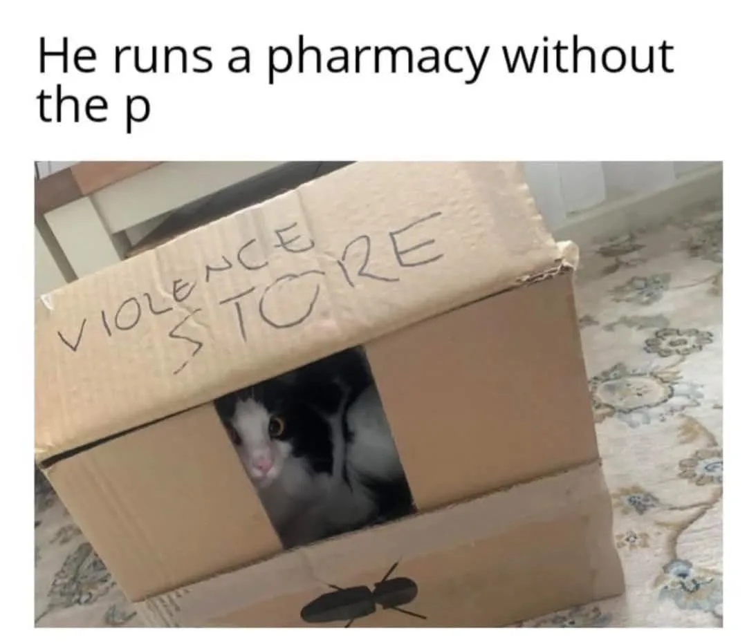 A black and white cat peeks out from a cardboard box with 'VIOLENCE STORE' handwritten on the top. The box sits on a…