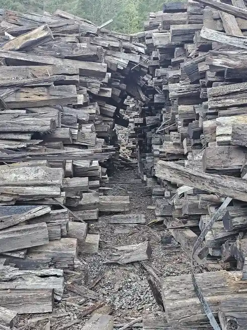 An outdoor photo shows a narrow, gravel path flanked by towering, chaotic piles of weathered, gray wooden planks and beams…