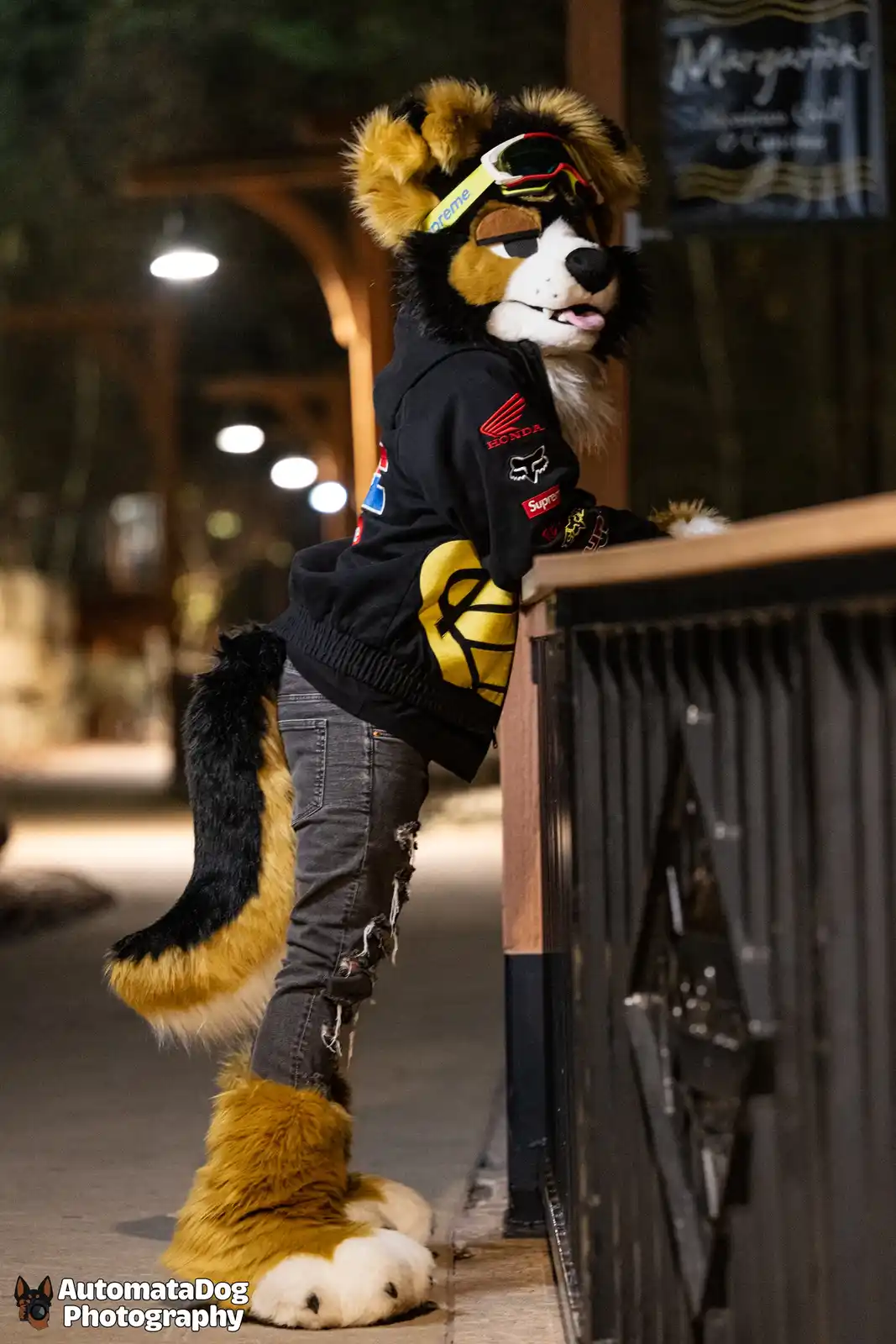 A person in a detailed fursuit of a black, tan, and white canine character leans casually against a railing at night. The…