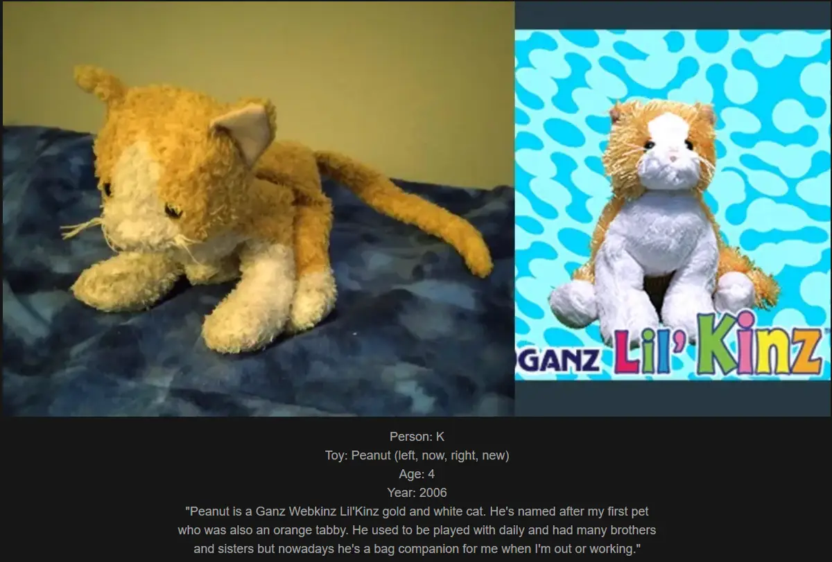 The image shows a split-screen comparison: on the left, a worn, slightly dirty orange and white plush cat toy lying on a…