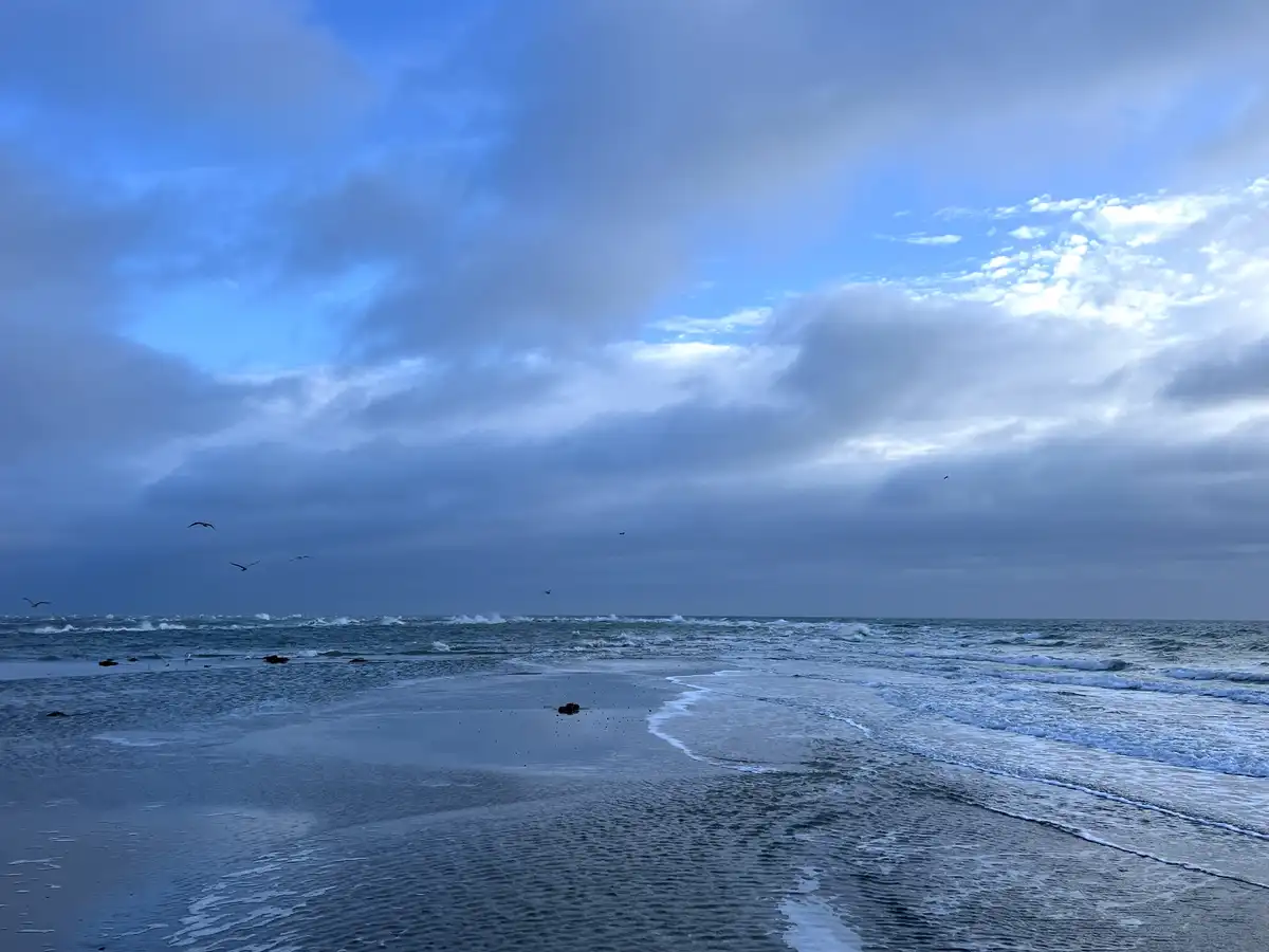 Where Northsea Embraces Eastsea: Denmark's Northernmost Point