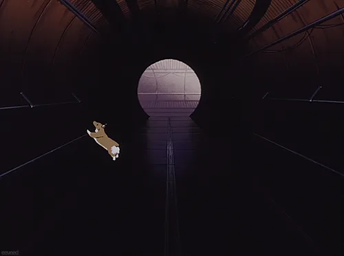 A sequence of six panels shows a corgi running toward the light at the end of a dark tunnel, progressively getting closer…