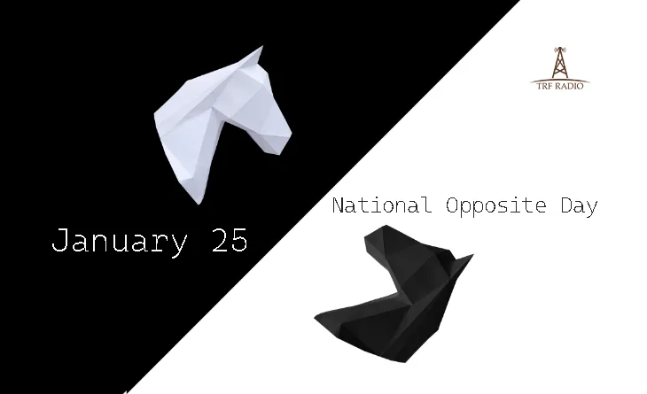 A split-screen image with a white geometric horse head on a black background labeled 'January 25' and a black geometric…