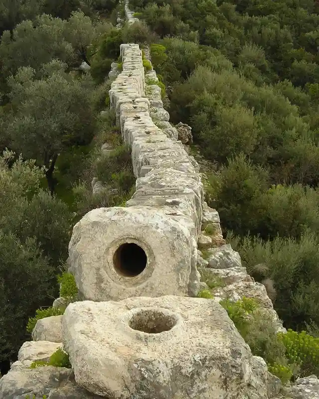 a long, winding line of ancient, weathered stone blocks with circular holes cut into them, set amidst dense green shrubbery…
