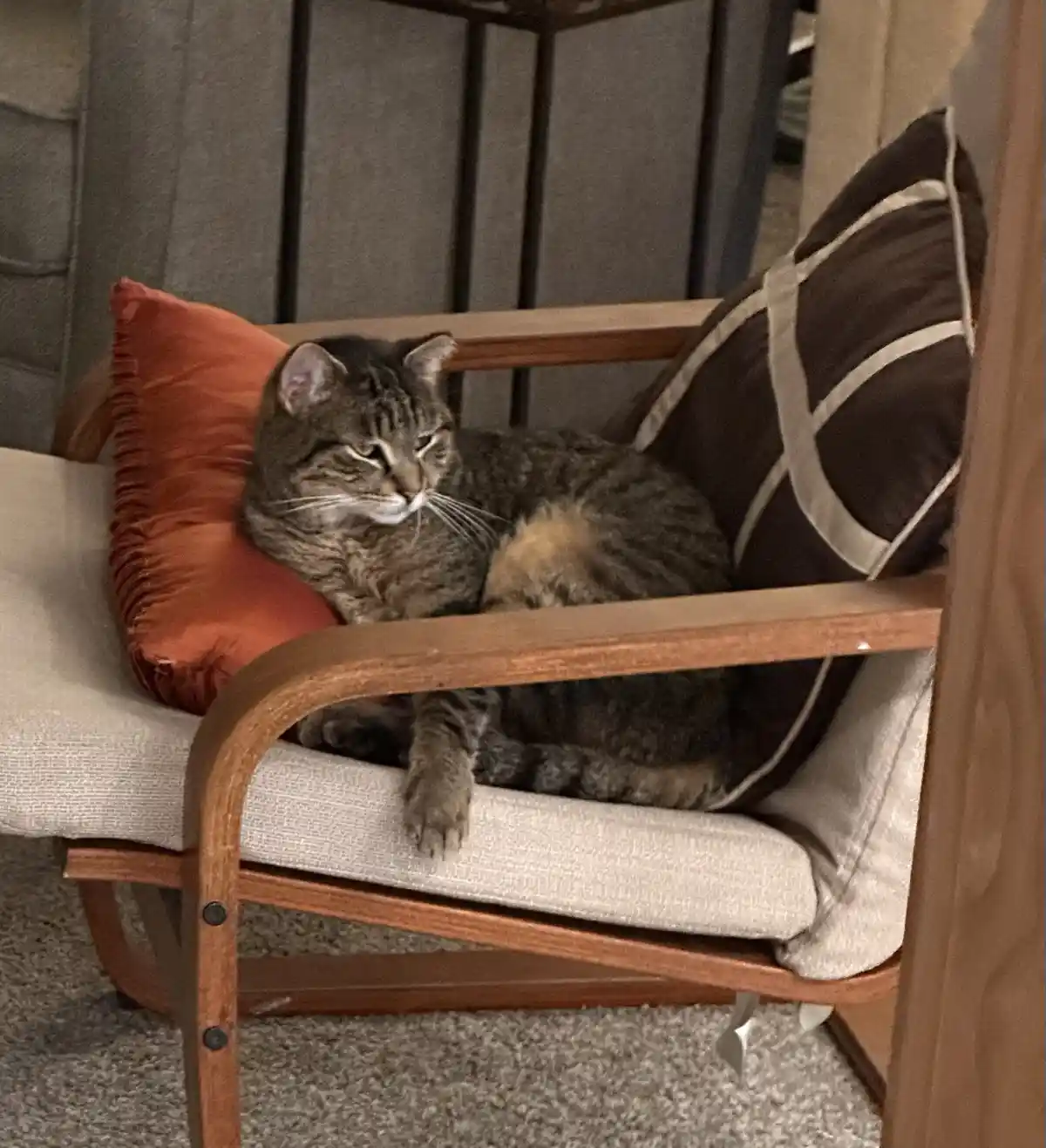 A tabby cat with a relaxed, slightly annoyed expression lounges in a wooden armchair, one paw dangling over the cushion. The…