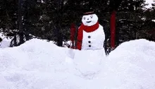 A Glimpse into Imgur's Current Vibe