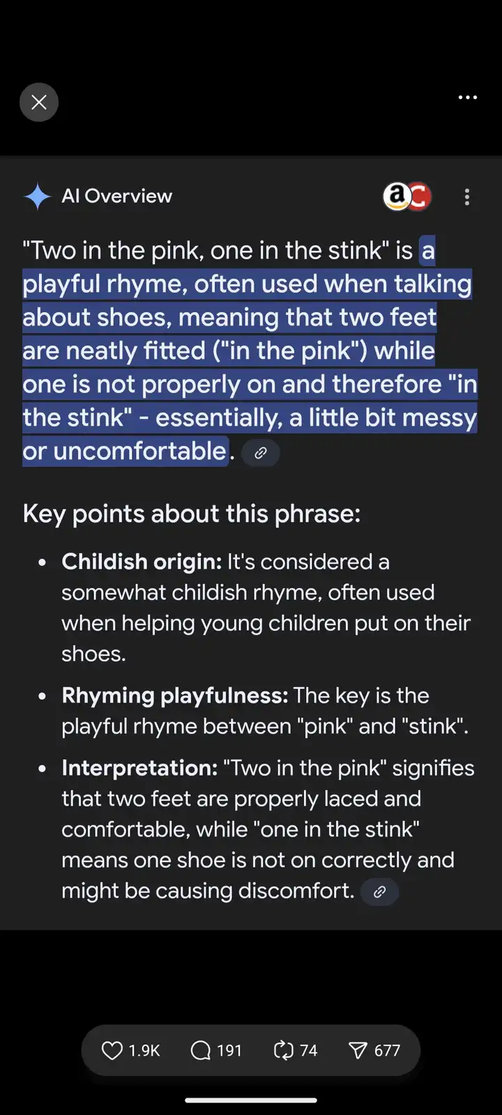 A screenshot of an AI-generated text explanation about the phrase 'Two in the pink, one in the stink,' which is described as…