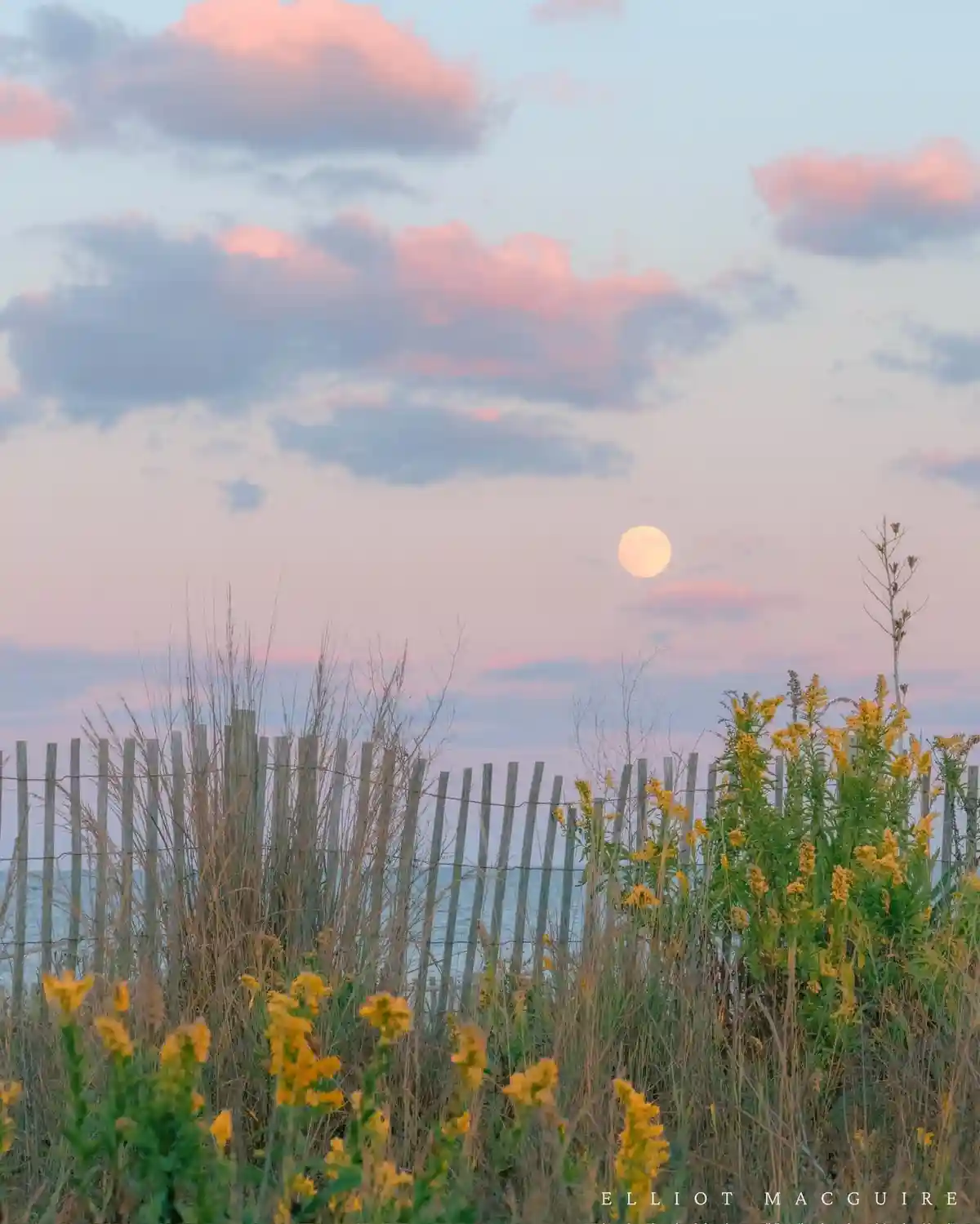 A serene coastal scene at dusk or dawn with a full moon visible in a pastel sky of pink and blue clouds. In the foreground…