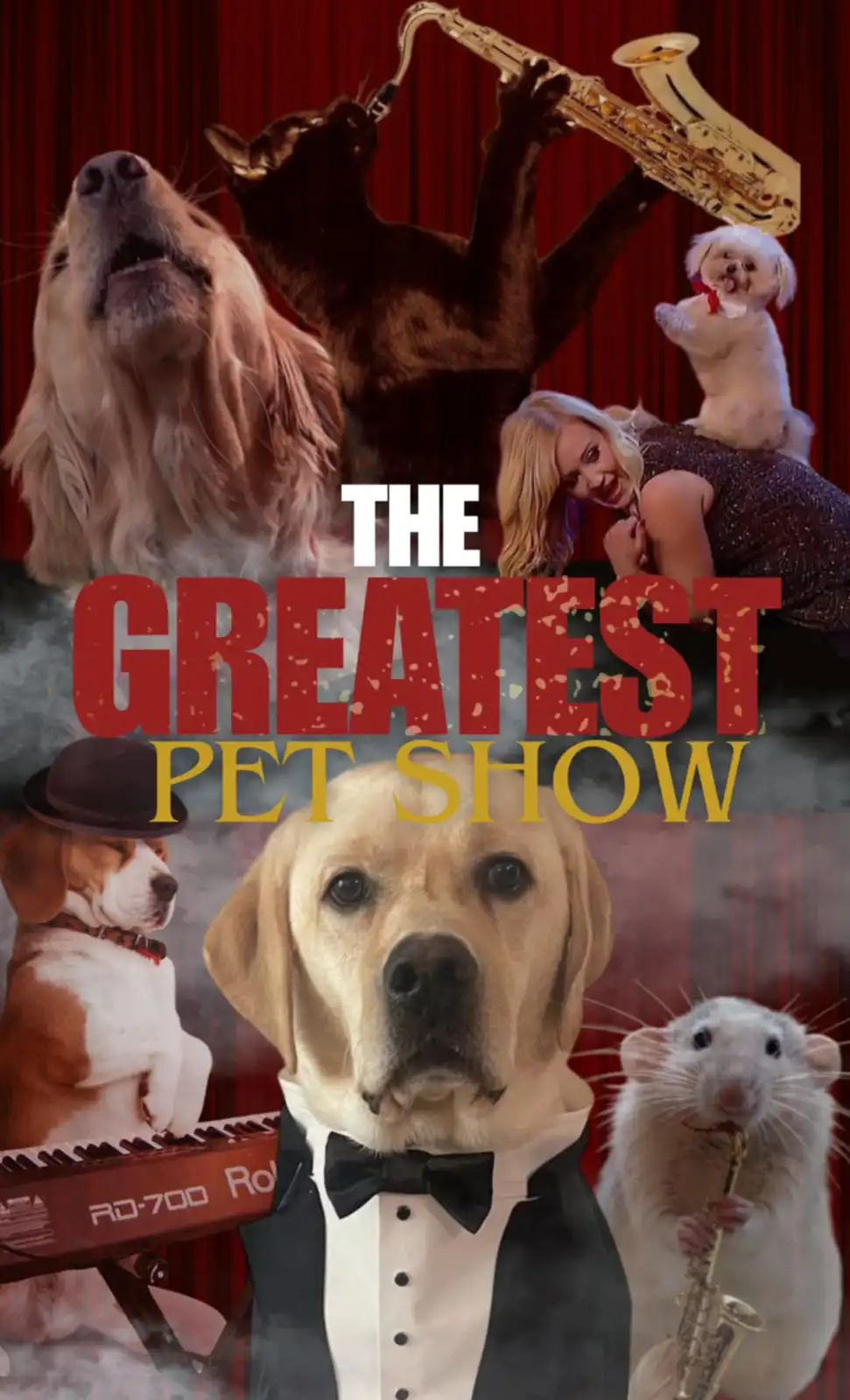 A collage image features various animals dressed in performance attire against a red curtain backdrop. A golden retriever…