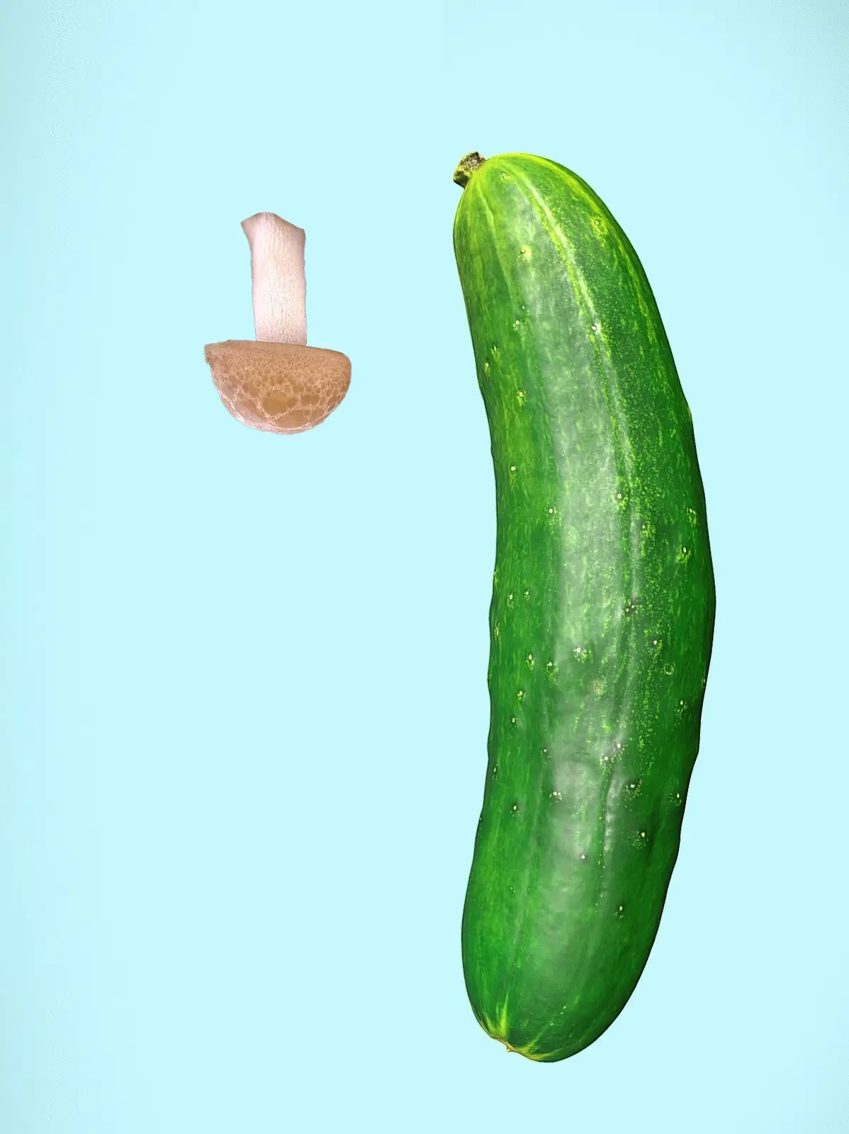 A small brown mushroom is positioned to the left of a large green cucumber against a light blue background. The image is…