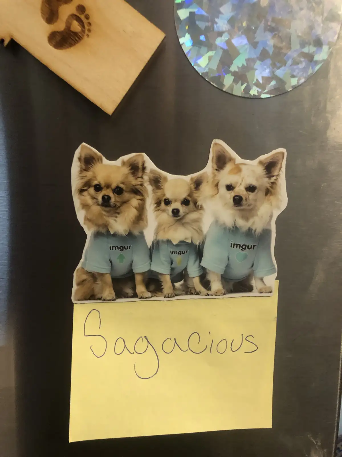 Three chihuahua cutouts wearing light blue 'imgur' t-shirts are stuck to a fridge, with a handwritten sticky note below them…