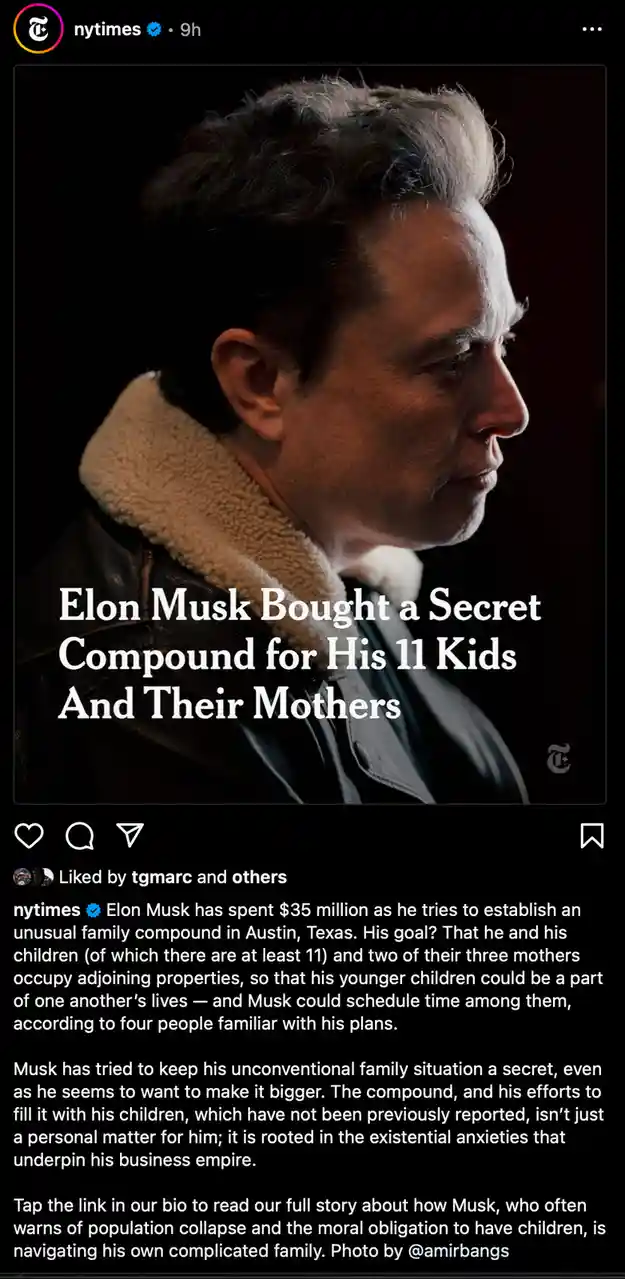 A side-profile photo of Elon Musk wearing a dark jacket with a light-colored fleece collar against a dark background…