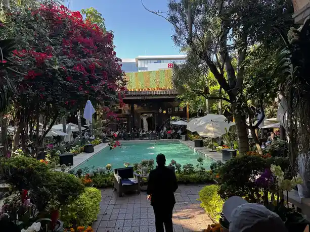 A person in a dark suit stands with their back to the camera, looking toward a vibrant outdoor pool area surrounded by lush…