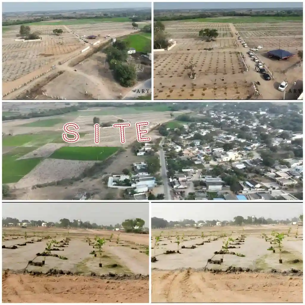A six-panel collage shows a rural landscape transitioning from barren land with sparse trees and parked cars to a developed…