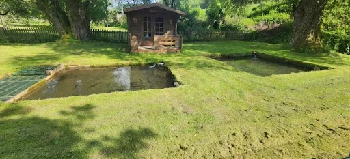 An outdoor scene shows two rectangular, muddy, water-filled pits dug into a grassy lawn, with a small wooden shed in the…