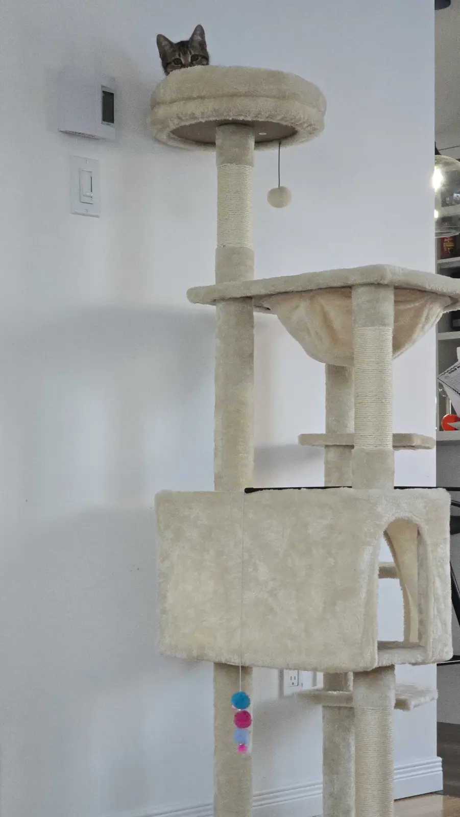 A tabby cat peeks over the top platform of a tall, beige cat tree, looking down. The tree has multiple levels, scratching…